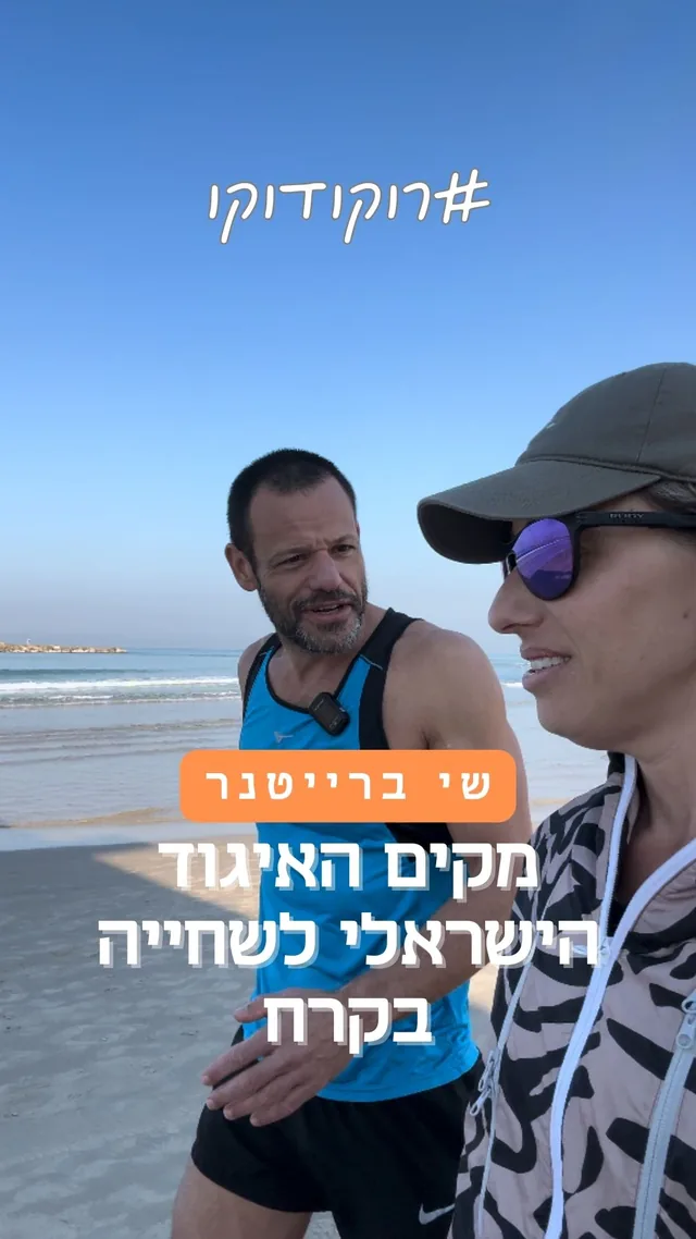 שי ברייטנר